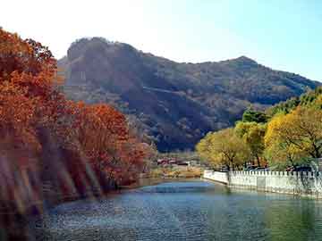 新澳门二四六天天彩，葫芦岛seo排名